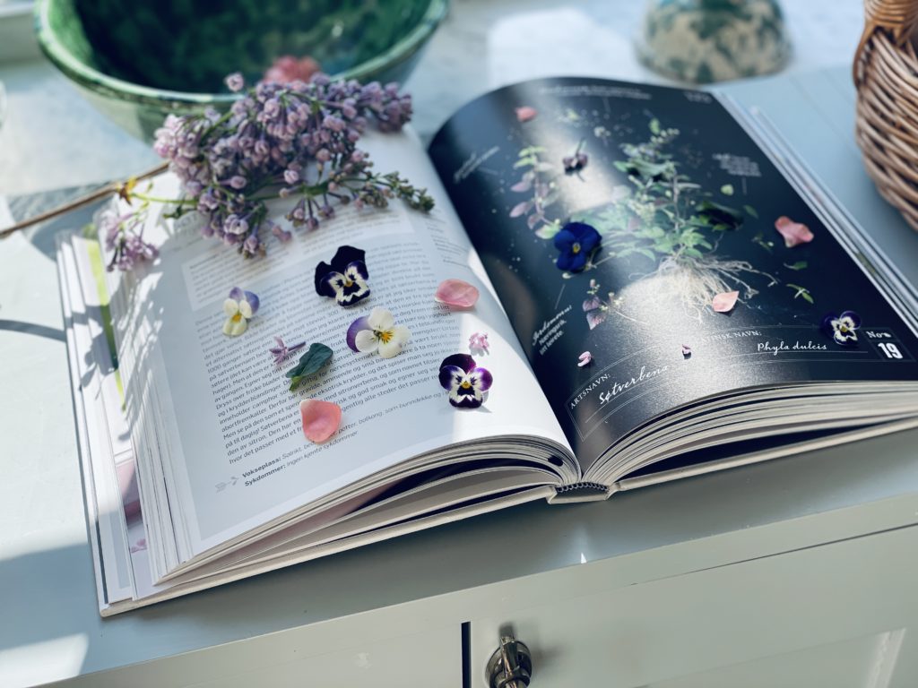 Stor bok med vårlige knopper og blomster lagt inni sidene for pressing