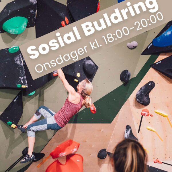 Sosial buldring hos Gneis Lilleaker